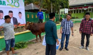 PJ Bahtiar Sumbang Dua Ekor Sapi Untuk Haul Agh Abdurrahman Ambo Dalle