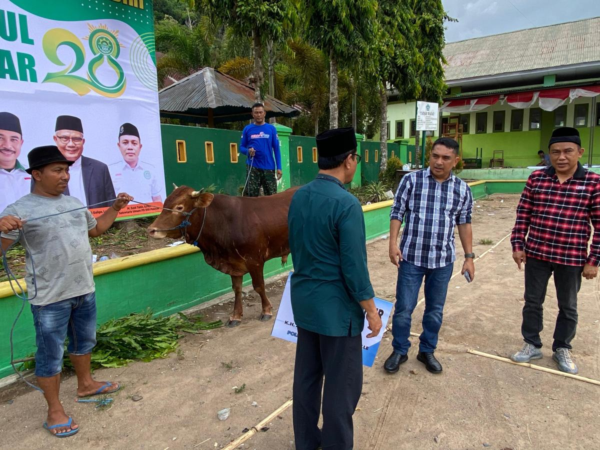 PJ Bahtiar Sumbang Dua Ekor Sapi Untuk Haul Agh Abdurrahman Ambo Dalle