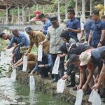 DKP Prov Sulbar Sudah Membagi 1,5 Juta Bibit Ikan Nila Kepada Warga Sulbar DKP Prov Sulbar Sudah Membagi 1,5 Juta Bibit Ikan Nila Kepada Warga Sulbar