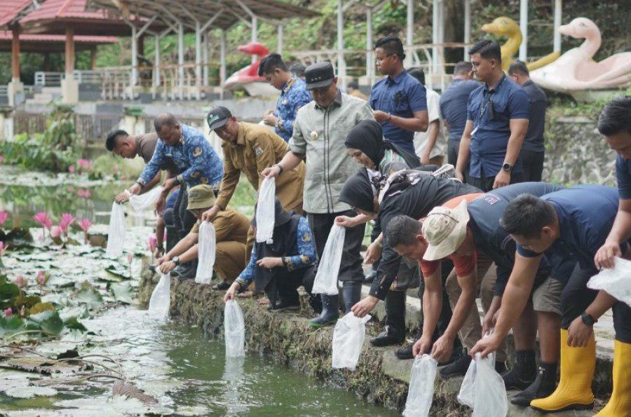 DKP Prov Sulbar Sudah Membagi 1,5 Juta Bibit Ikan Nila Kepada Warga Sulbar