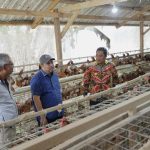 Dinas Peternakan dan Keswan Segera Terbentuk, Peternak Bersyukur Dinas Peternakan dan Keswan Segera Terbentuk, Peternak Bersyukur