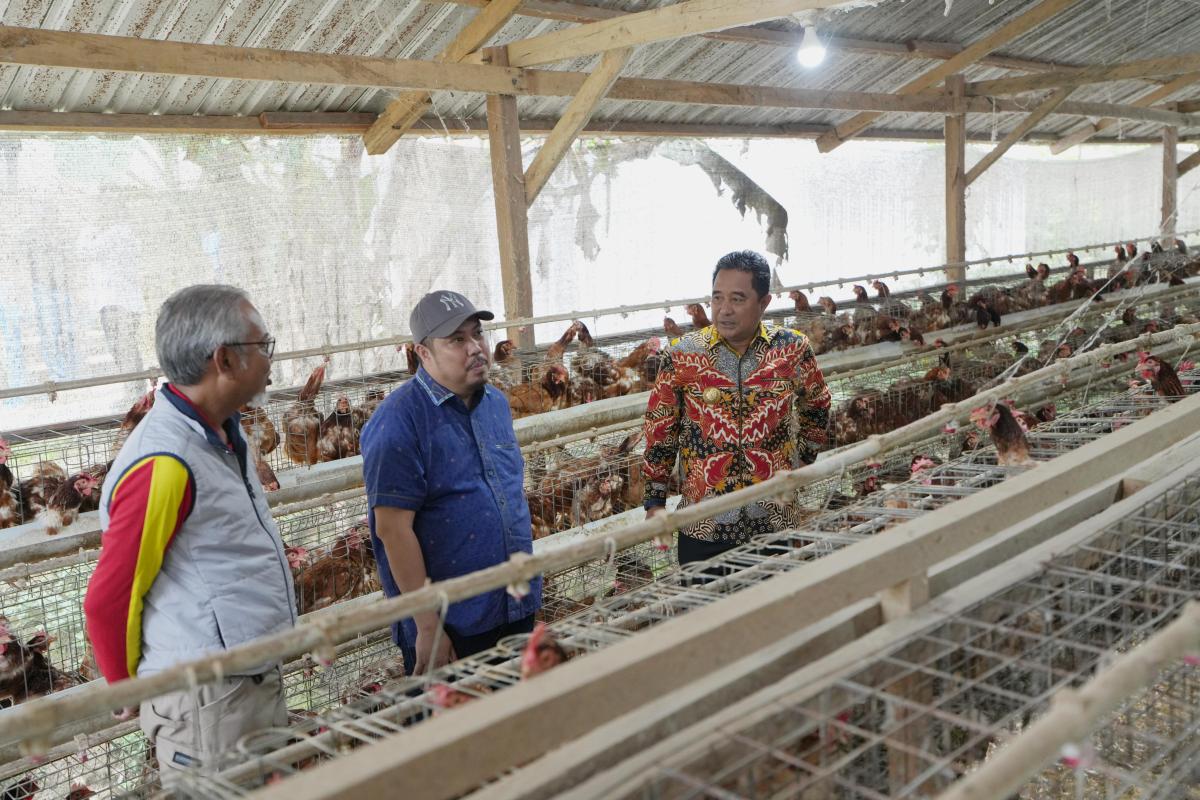 Dinas Peternakan dan Keswan Segera Terbentuk, Peternak Bersyukur Dinas Peternakan dan Keswan Segera Terbentuk, Peternak Bersyukur