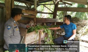 Bhabinkamtibmas Polsek Sarudu Sambangi Peternak Kambing