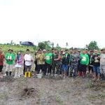 Pisang Cavendish Dijamin Harga Tidak Akan Turun Meski Panen Melimpah