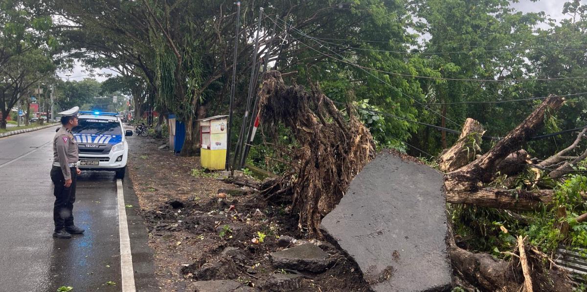 Satlantas Polresta Mamuju Responsif Tangani Pohon Tumbang Satlantas Polresta Mamuju Responsif Tangani Pohon Tumbang