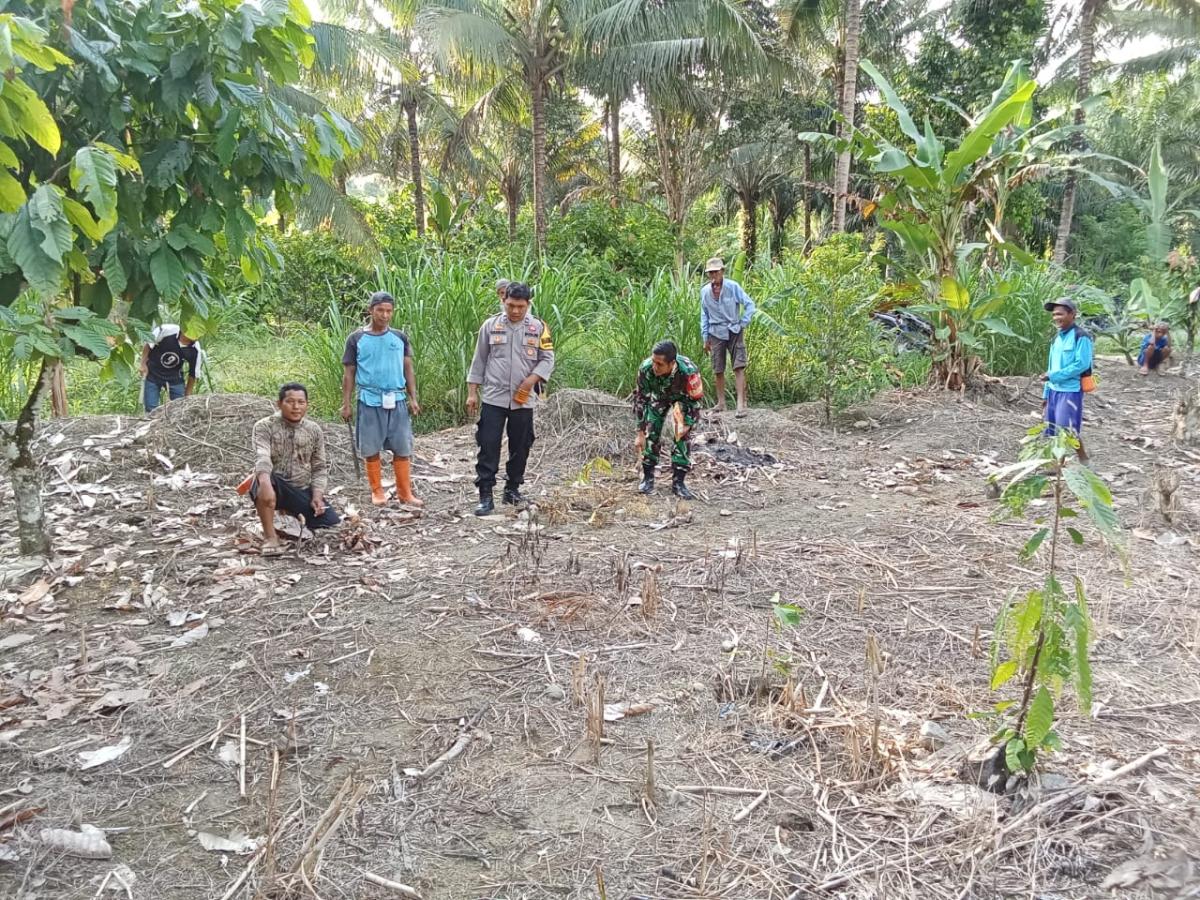 Bhabinkamtibmas Polsek Bambalamotu Bersama Warga Manfaatkan Lahan