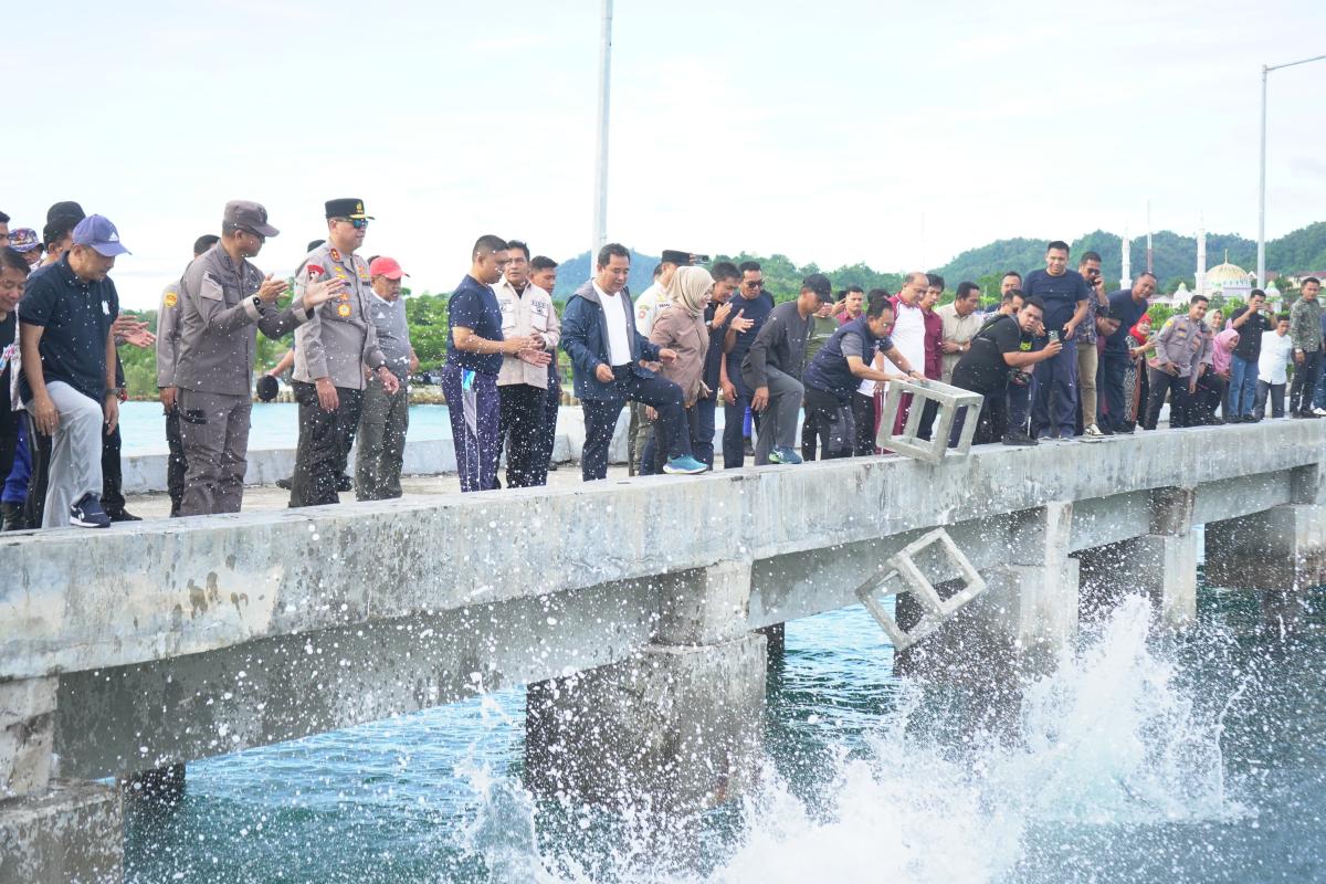 Seribu Karang Buatan Diturunkan  di Teluk Mamuju