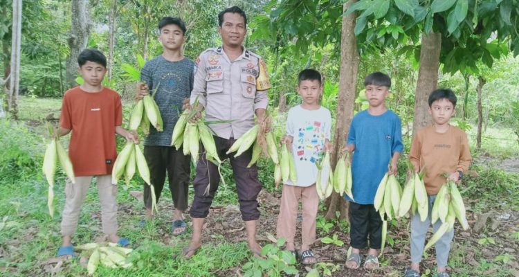 Bhabinkamtibmas Polsek Tapalang Dukung Program Ketahanan Pangan