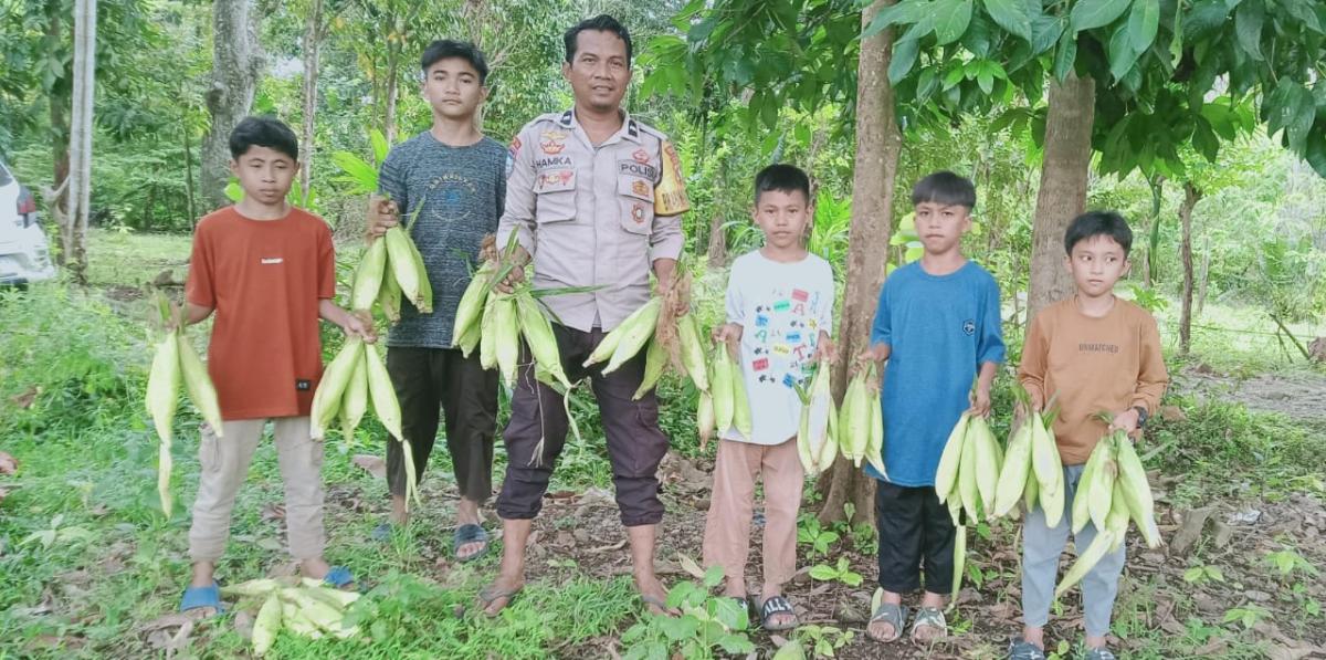 Bhabinkamtibmas Polsek Tapalang Dukung Program Ketahanan Pangan