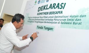 Program RBP, Penghijauan yang Memiliki Nilai Ekonomis Bagi Masyarakat Sulbar