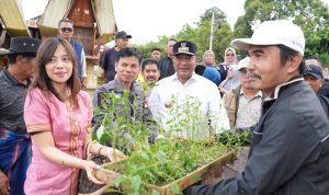 Warga Tabang Serbu Pohon Gratis dari Pemprov Sulbar