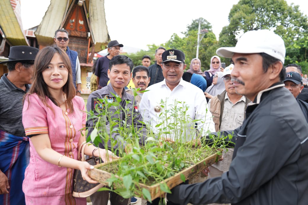 Warga Tabang Serbu Pohon Gratis dari Pemprov Sulbar