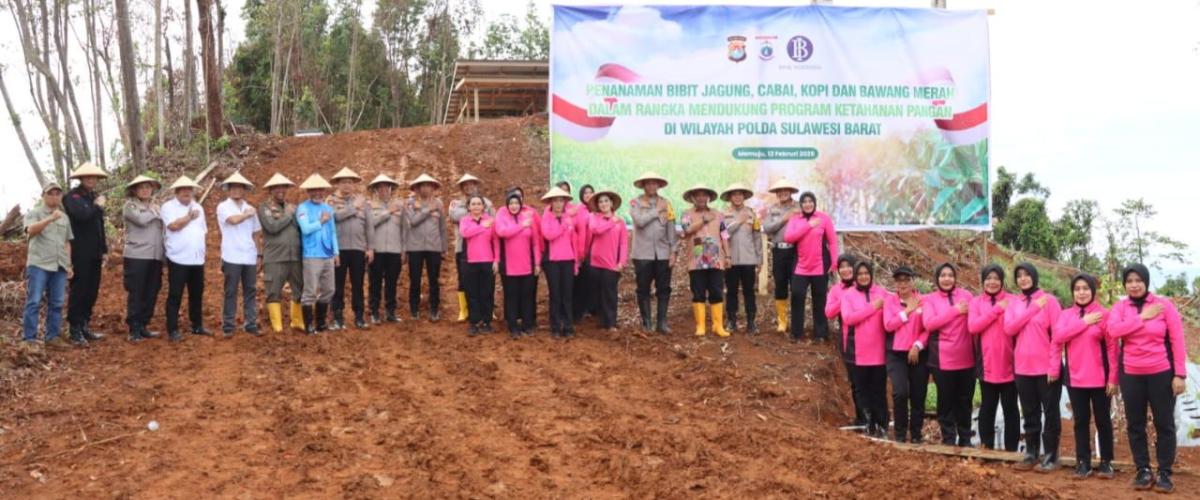 Kapolresta Mamuju Tanam Jagung dan Cabai Bersama Unsur Forkopimda