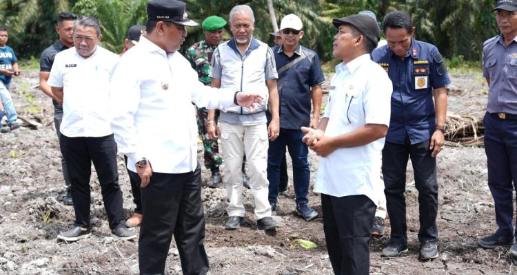 Warga Pasangkayu Antusias Menanam Pisang Cavendis