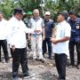 Warga Pasangkayu Antusias Menanam Pisang Cavendis