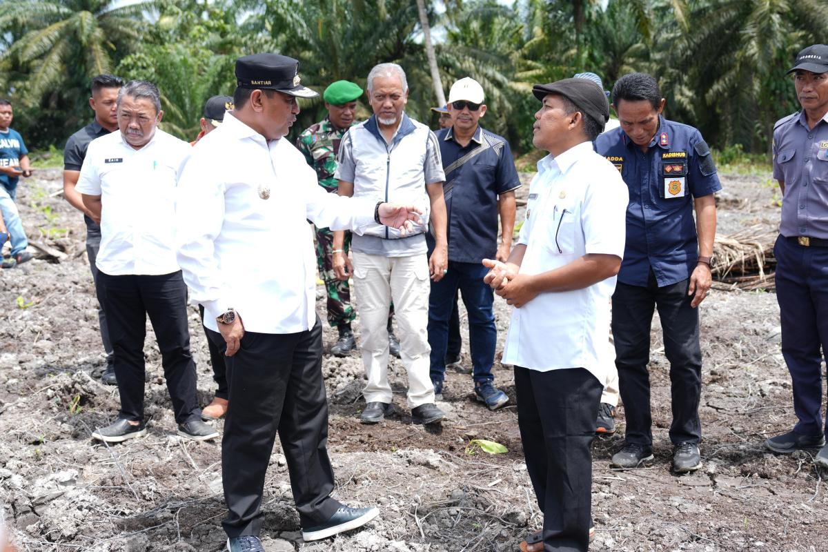 Warga Pasangkayu Antusias Menanam Pisang Cavendis