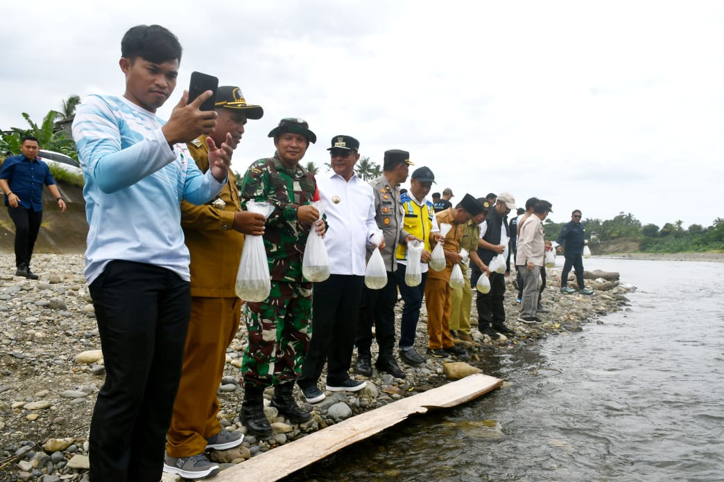 Puluhan Ribu Benih Ikan Nila dilepas di Bendungan Banua Majene