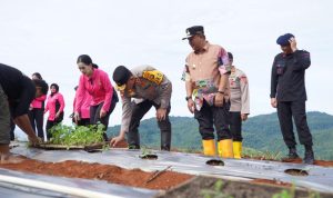 Kapolda Sulbar Tanam Komoditas Pangan Strategis di Botteng