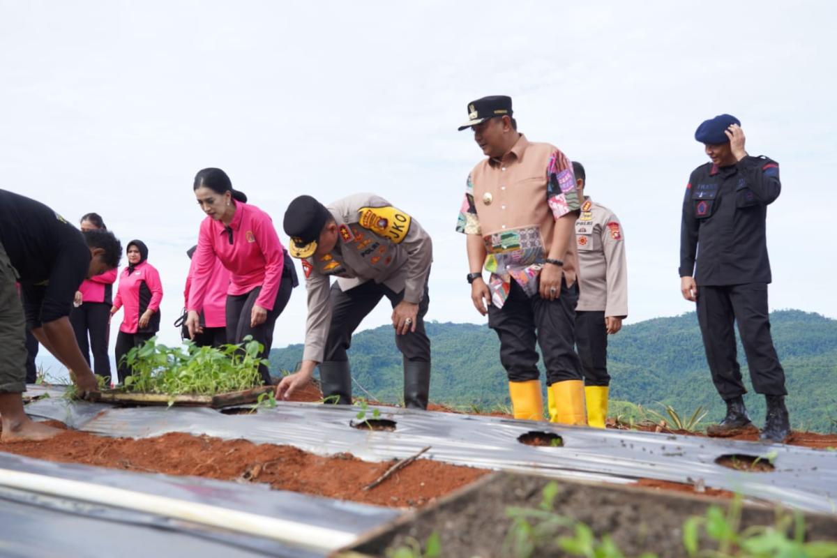 Kapolda Sulbar Tanam Komoditas Pangan Strategis di Botteng