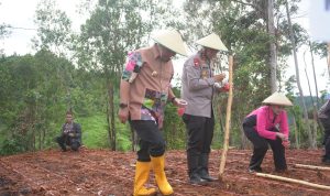 Pj Bahtiar:Hadiri Penanaman Jagung, Cabai Bawang dan Kopi di Botteng