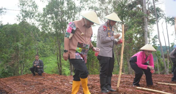 Pj Bahtiar:Hadiri Penanaman Jagung, Cabai Bawang dan Kopi di Botteng