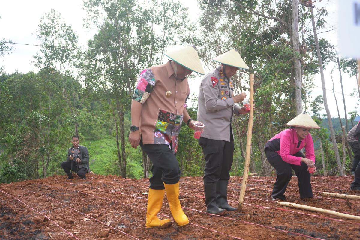 Pj Bahtiar:Hadiri Penanaman Jagung, Cabai Bawang dan Kopi di Botteng