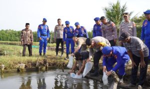 Kapolda Sulbar Kolaborasi Masyarakat Kalukku Tebar Benih Ikan Bandeng