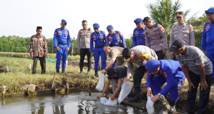 Kapolda Sulbar Kolaborasi Masyarakat Kalukku Tebar Benih Ikan Bandeng