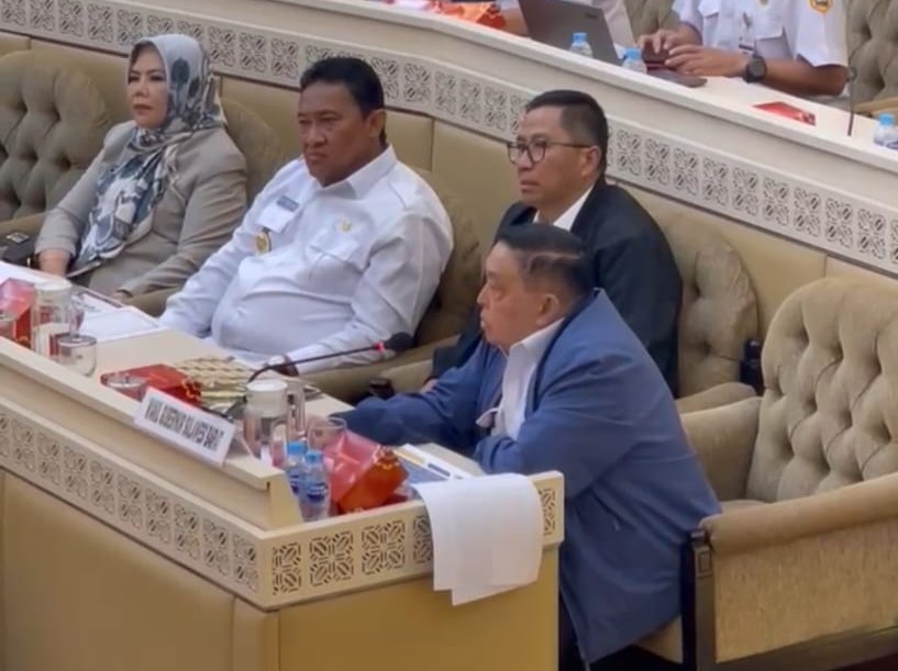 Wagub Sulbar Sampaikan Permasalahan Daerah di Hadapan Komisi II DPR RI, Minta Dukungan Pusat