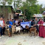 Pemprov Sulbar Distribusikan 1.870 Ekor Kambing untuk 5 Kabupaten
