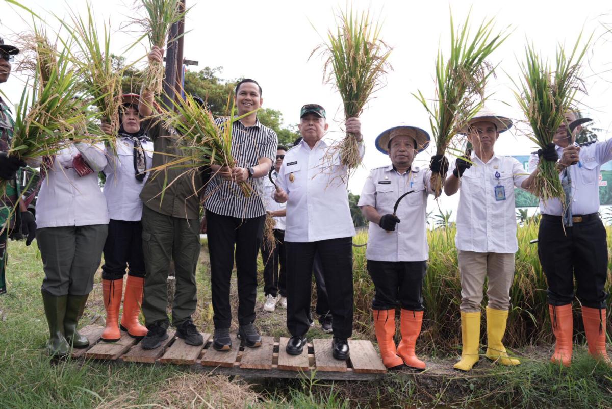 Stop Konflik Agraria! Wagub Sulbar Arahkan Alih Fungsi Lahan Sawit untuk Cetak Sawah Baru