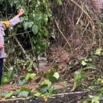 Bhabinkamtibmas  Desa Saletto, Polsek Mamuju Brigpol RRespon u Bhabinkamtibimas Saletto Tangani Tanah Longsor dlan Poros Mamuju – Majene Mamuju